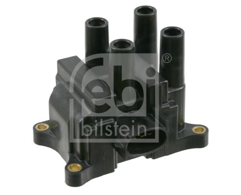 FEBI BILSTEIN ritė, uždegimas 26869